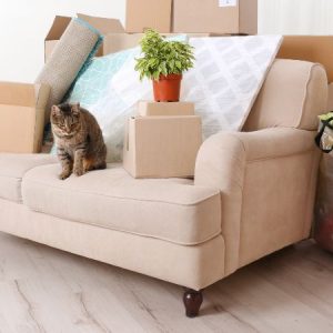 Stone Decorative Tray